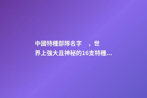 中國特種部隊名字，世界上強大且神秘的16支特種部隊-第1張-觀點-玄機派